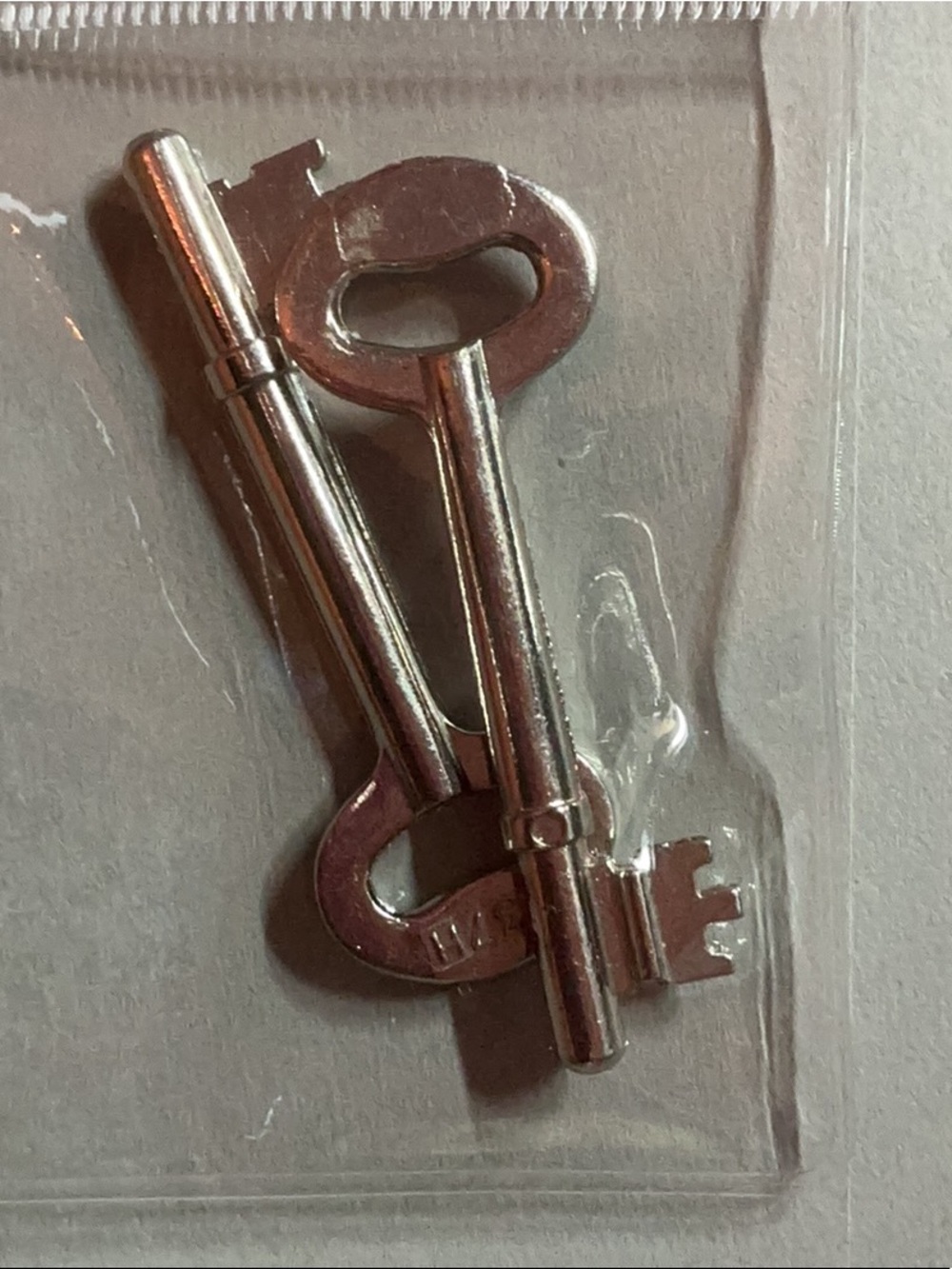 set of two modern skeleton keys